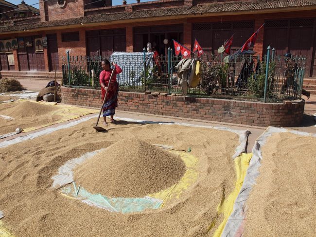 チャング・ナラヤンを見学したあとは、15〜18世紀にネワール文化とともに栄えた古都バクタプルへ。こちらも世界遺産の街です。<br /><br />この街も立ち入るためには外国人は文化財保護基金という名の入場料を払わなくてはなりません。10ドル…