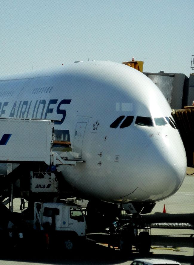 RJAA→WSSS SIA637 （Airbus A380
