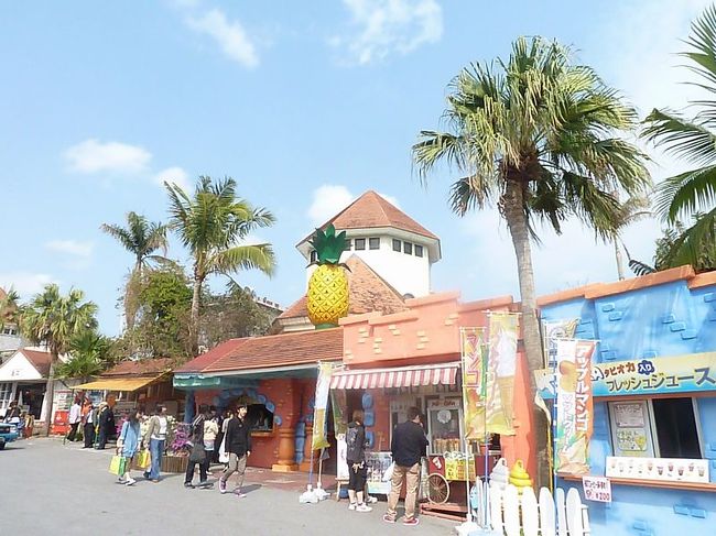 ランチの後は「パイナップルパーク」へ行きました。<br /><br />ここはお土産売り場が一番メインの観光客寄せの施設でした。<br />パイナップル号で回るパイン畑なんてちょっとだけ・・・。<br />降りた後のお土産施設のすごいこと・・・。<br />ただ、貝の展示はすごかった。感心する程でした。<br /><br />チケットをオークションで１枚で全員タダで入れるという<br />得々チケットというのを１００円で買っておいてよかったと思う<br />ような所でした。<br /><br />