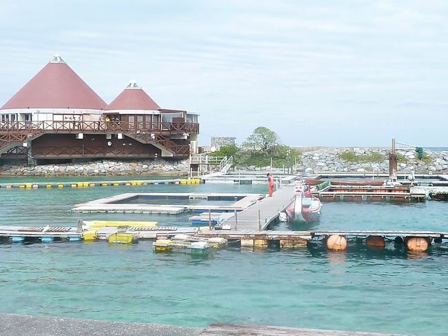 次の日はホテルプログラムを楽しむ予定で<br />ツアーについてきた「サンシャインドルフィン」に参加しました。<br /><br />これはホテルにあるイルカの飼育施設に入り、<br />そこでイルカと遊べるというもの。<br /><br />料金別に触れ合い度がちがく、このプログラムは千円だそうです。<br />団体でイルカのそばに行き、説明を聞いて見て終わりです。<br /><br />子供達が物足りなかったというので、１１時半からの<br />エンジョイドルフィンにも参加することにし、帰り際に申し込みをしました。<br />触れ合い度は星一つ。２０分で料金は一人４５００円です。<br /><br />詳しくはこちらのブログで→http://mimahiya7128.i-ra.jp/e324255.html<br /><br /><br />