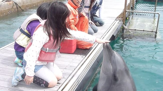 ホテルに戻り、エンジョイドルフィンに参加。<br /><br />これはすごくよかったです。<br />少人数でイルカに直接触れます。<br /><br />自分たちの指示で芸を目の前でしてくれたり<br />お顔を触らせてくれたり<br />握手してくれたり<br /><br />触れ合うことでますますイルカが好きになるようなプログラムでした。<br />家族４人で１８０００円でしたが、<br />すごくいい思い出になったので申し込んでよかった〜。<br /><br />できればイルカと一緒に泳ぐようなものもやりたかったのですが<br />（これは1万２千円だったかな？）子供がやりたがらないので<br />やめました。私一人でやってもね〜。