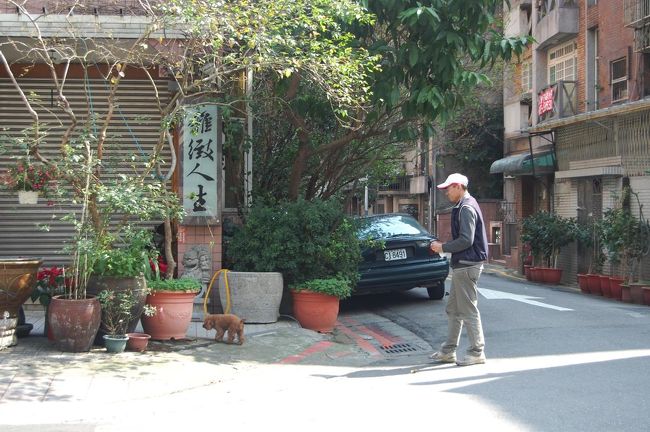 散歩中のプードル。<br />台湾ではとにかくたくさんの野良犬を見た。<br />野良犬は皆大きい。<br /><br />飼われている犬はプードルばっかりだった。<br />しかも、プードルをバイクにつないで爆走してる人もいてビックリ。<br />プードルの扱いが日本と違う！笑