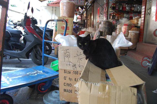 くろねこ。<br />小さくてかわいい。