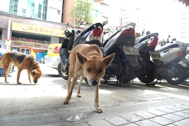 警戒されて終わりました。