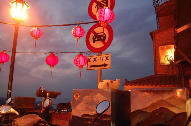 九分には猫や犬がたくさん。<br />猫はどこへいってものんきだ。