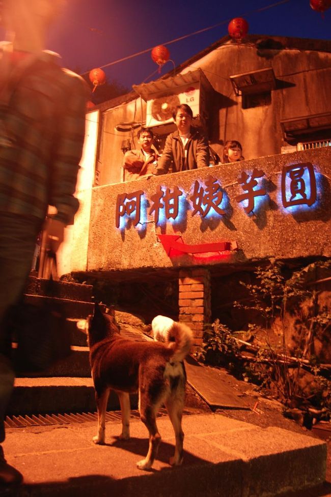 佇むわんこ。<br />