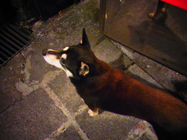 近寄ってみる。