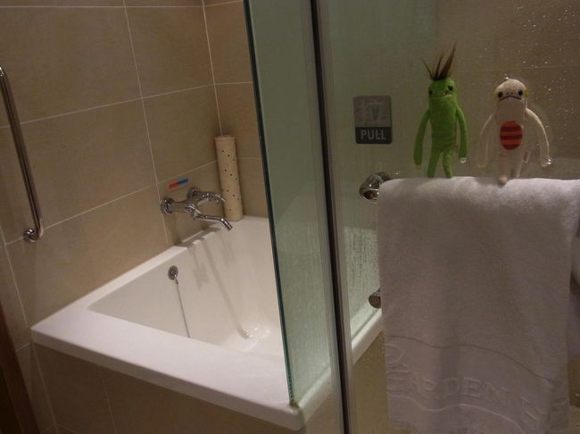 ひゃーーーー疲れたーーー。<br />この日も四角い浴槽でくつろぎ。<br /><br />いろんなサイトに「足がのばせないのがつらい」って書いてありましたが、<br />頑張ったらのばせました。<br />短足万歳！！！<br /><br /><br />長い長い一日が終わりました。<br />こんなに充実した一日を過ごしたのは久しぶり。<br />明日は最終日。<br />まだ日本に帰りたくない！！<br /><br />