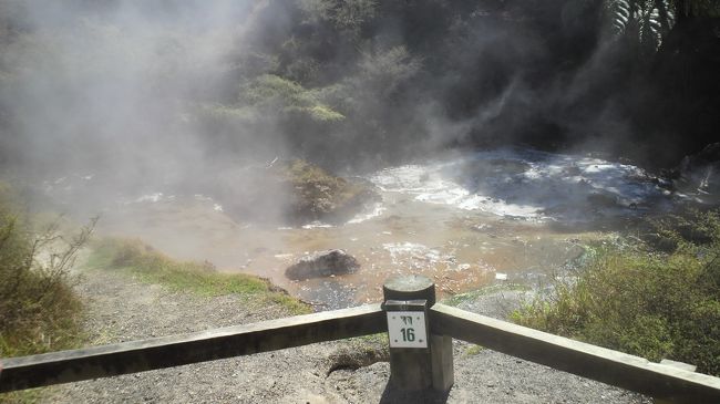 ニュージーランド北島旅行-テ・プイア、ワイオタプ、ワイマング火山渓谷、フカ滝、タウポ 3/11(5日目)-