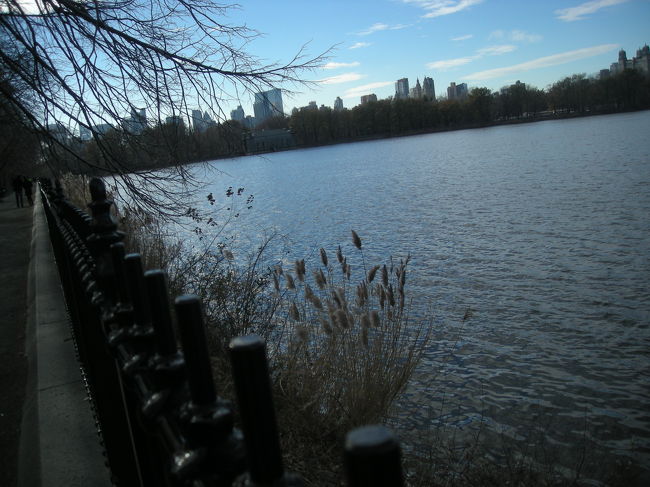 寒いけどいい天気！