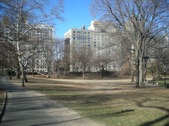 いい天気だったので散歩。