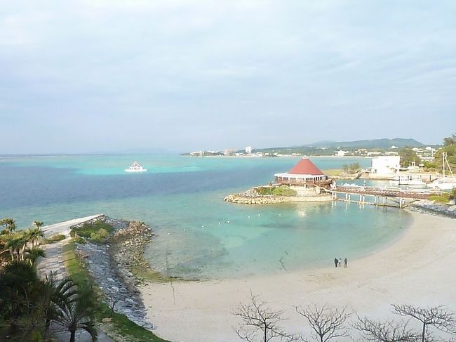 部屋に帰りテレビを見て衝撃でした・・・。<br />これ日本なの？本当なの？<br />ショックでした。<br /><br />もしかして羽田に明日戻れないかもしれない。<br />高速道路が通行止めが解除されていなかったら、と<br />もしもの時のことをすぐに考えておきましたが<br />結局翌日にはスムーズに帰ってくることができました。<br />うちは静岡県です。<br />