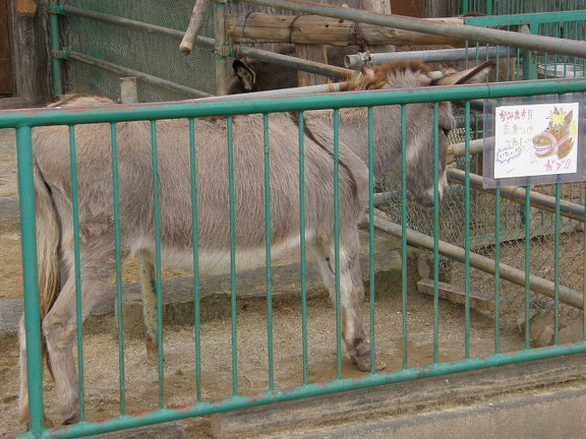 かみね動物園を訪ねて [2010](1)