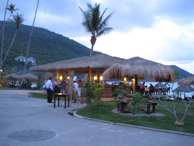 夕食はレストランをやめ、バーベキューを選択。<br />屋外なので虫除け対策が必要。結構刺されました。