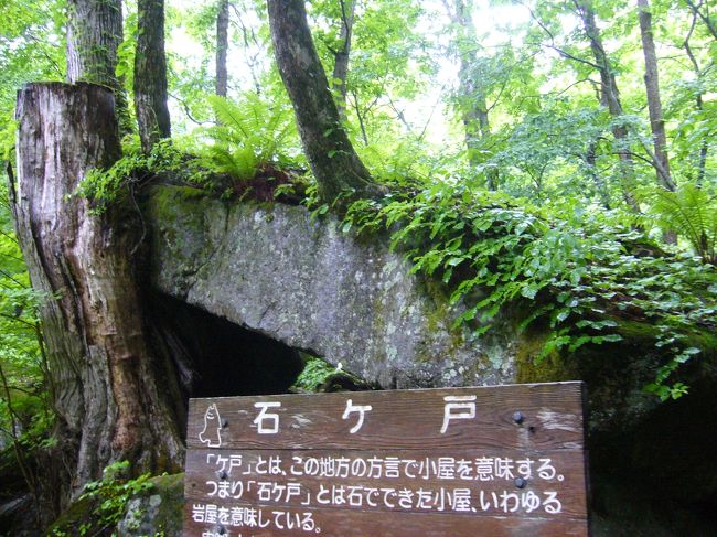 奥入瀬渓流散策。<br />が・・・この日も朝から雨（泣）<br />傘を差しながらの観光スタートです。