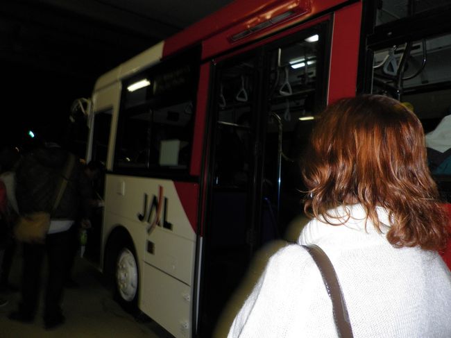 今回は羽田経由でシンガポールに向かいます。伊丹からの羽田最終便に乗り、国際線ターミナルまでこのバスで移動します。<br />仕事終わりだったので伊丹からの飛行機に間に合うか不安でしたが、なんとか間に合いました。
