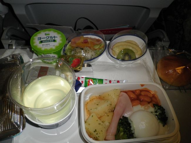 深夜便なので機内ではおにぎりかパンが提供されます。その後朝食サービスが出ました。新しい機材だったのでキレイでゆっくりと座れました。あっという間にチャンギ国際空港に到着。