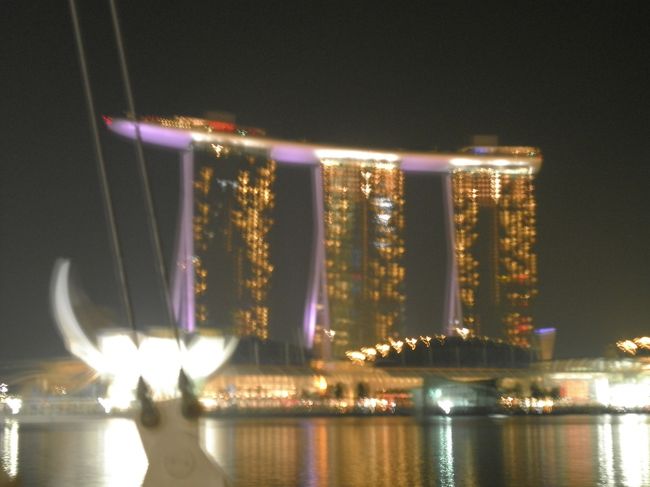 ちょっとボケてるけど夜のマリーナベイサンズ。夜のシンガポールの街並みもキレイです。
