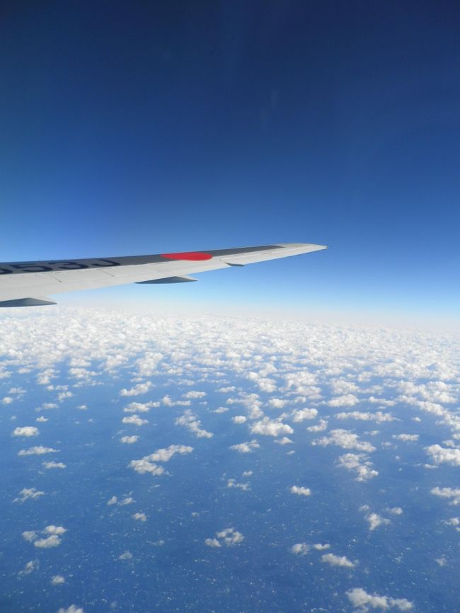 シンガポール今回で結構色々見て回りました。ご飯もおいしいし、もう少し近かったらいいのになーと思います。<br /><br />最後まで読んで下さりありがとうございます。<br />