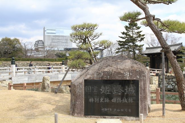 400年の時空を超えて舞い降りた白鷺 「天空の白鷺 （姫路城大天守修理