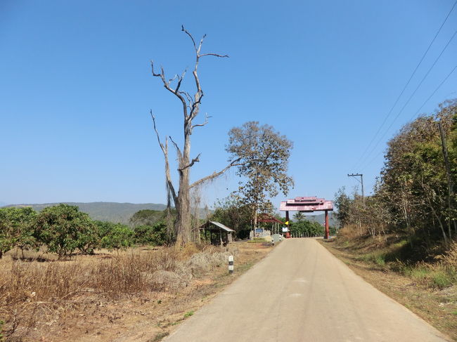 やり過ごして・・・