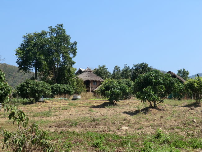建物が見えてきました・・・此処には彼は居ない筈ですが・・・<br /><br />日本の方来ていますか？