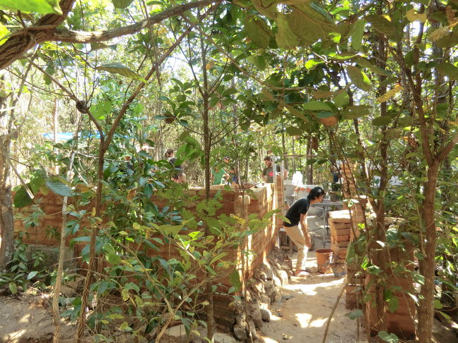 仕方なく・・・