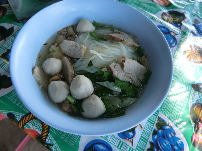 ９時に出発・到着11時　見学1時間・・・村まで帰ってラーメン・・・