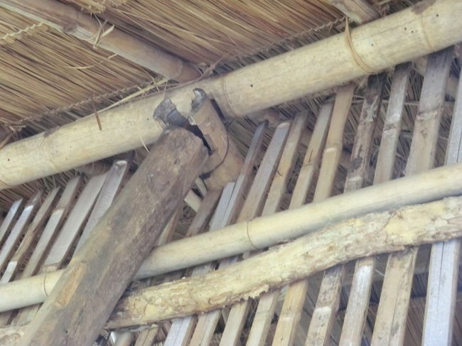 此処も・・・でも日本では少し寒い？？？