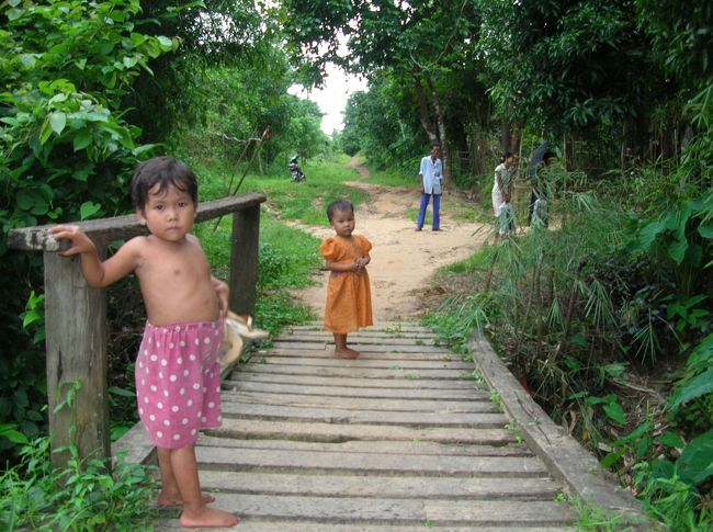 日本だと林道と呼ばれ、林業や公共工事に携わる人、あるいは四駆やオフロードバイクが駆け巡る道ですが・・・ 
