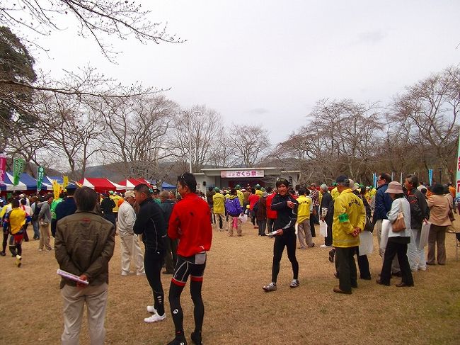 桜が全く咲いてない 三次桜祭り 三次 広島県 の旅行記 ブログ By 風遊さん フォートラベル