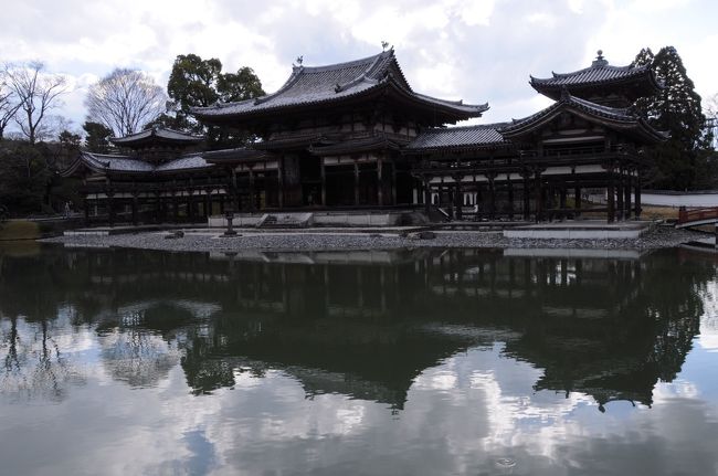 橘橋で宇治川左岸へ渡り、参道を宇治平等院へと向かう。<br />さすがに平等院は観光客で溢れていたので、鳳凰堂の拝観は止めて、外から眺めるだけとした。<br />鳳凰堂は、平安時代後期の天喜元年(1053)、時の関白藤原頼通により阿弥陀堂として建てられたもので、10円玉の図案として有名だが、実際にこの目で見たのは中学生の時の修学旅行以来二回目だ。<br />しかし、その時の記憶がまったくないので、今回が初めてと言ってよいだろう。<br />さすがに優雅で、まさに鳳凰が羽を広げたような美しさだった。