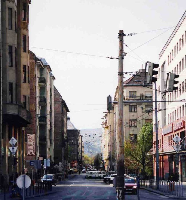 ペスト側からの風景。ブダの丘が見えます。