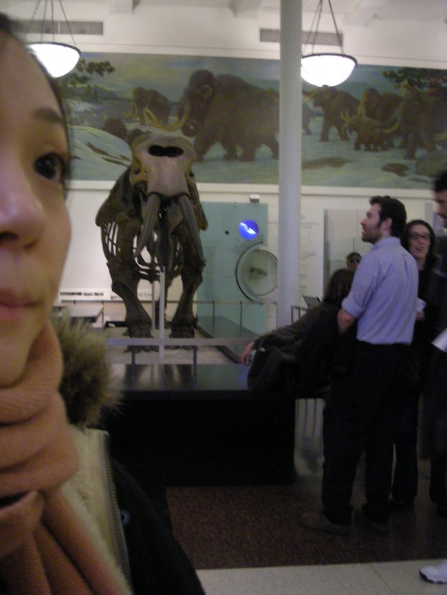 mammoth and me