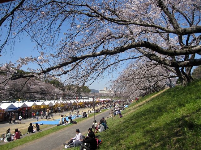 なんとか停め、出店の辺りにやってきた。<br /><br />桜の時期、初めてこの河川敷きに降り立った。<br /><br /><br />