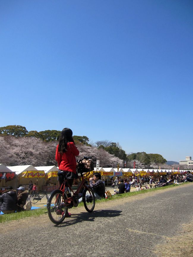 抜けるような青空。<br /><br /><br />春の風が吹き抜ける。