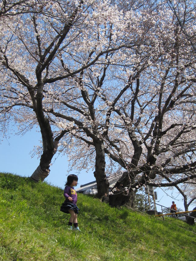 気持ちいいね。