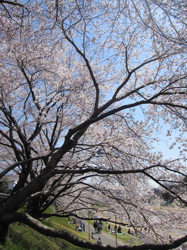 迫力あります。