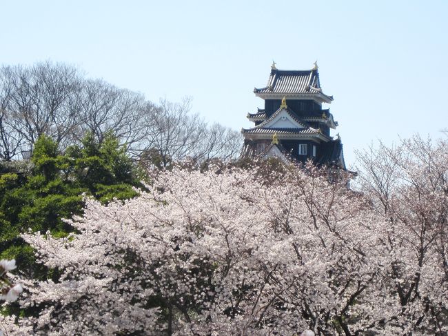 目の前には岡山城がそびえ立つ。
