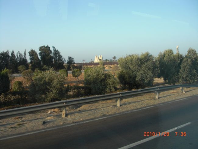 途中、トラック荷台にラクダが３匹くらい運ばれてる〜。<br />可愛すぎ。 <br />エジプト=ラクダだけど、本当は輸入品なんだって！<br />ビックリ。<br /><br />一面砂漠！かと思いきや、果物畑や、多くはないけど樹木もありました。<br /> <br />途中、白い穴のいっぱい空いた <br />２階建てのくらいの高さの蟻塚みたいなものが、<br />結構な数あるりました。<br /><br />ハト小屋なんですって、宗教上豚肉は食べれないもんね。<br /><br />