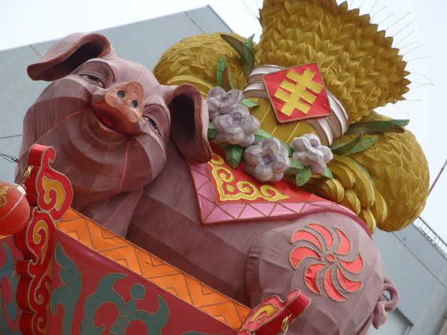 この豚さんも可愛いーー