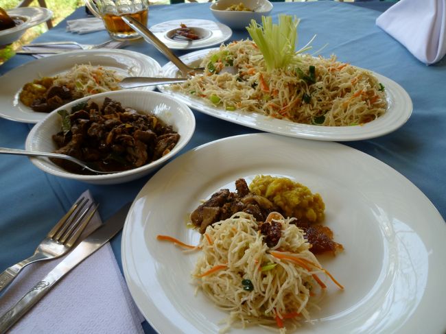 戸外で、爽やかな風と周りの木々には、時折　猿が。　ビーカレーにしたのですが、和牛に慣れているので・・・