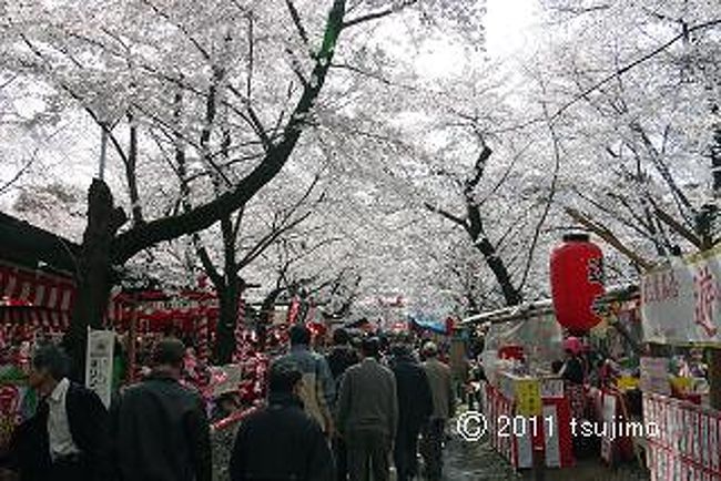 境内は、ところ狭しと屋台が出ています。