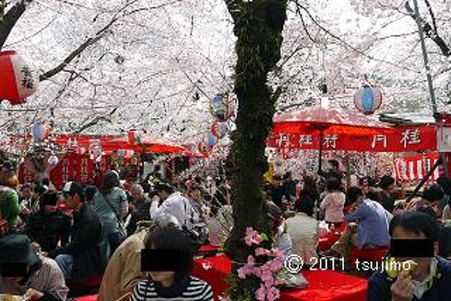 床机の上では、それぞれが「桜の下で一杯」と宴会をしています。