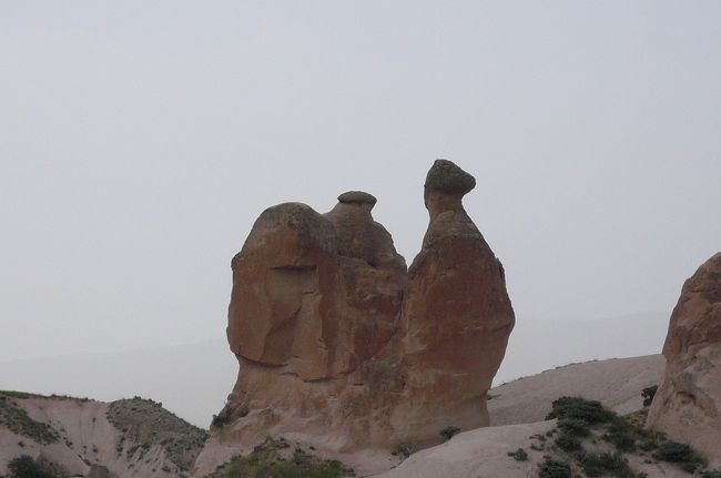 パシャパー<br />ラクダ岩