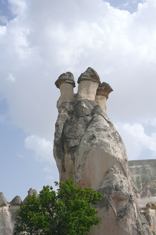 ゼルベ<br />キノコ岩