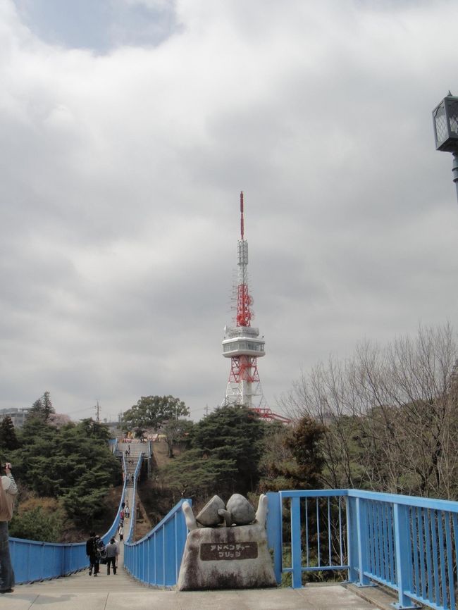 アドベンチャーブリッジとタワー。