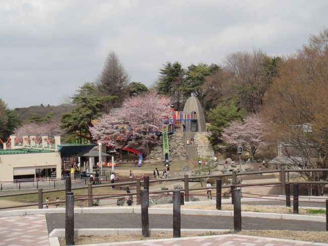 公園では子供たちがたくさん遊んでいました。
