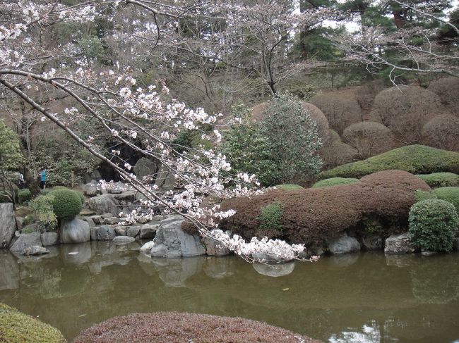 池は思った以上にきれいでした。