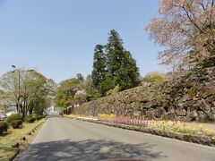 球磨川を渡って人吉城跡へ、石垣沿いに春の花壇